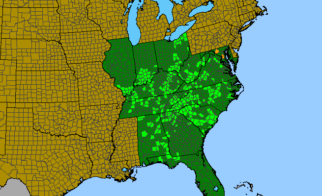 The range of Pycnanthemum pycnanthemoides